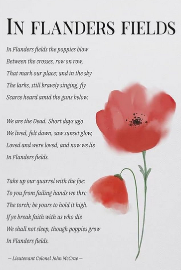 helene stafleu tweet media