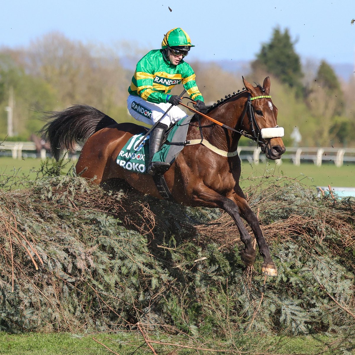 My Racing Tips tweet media