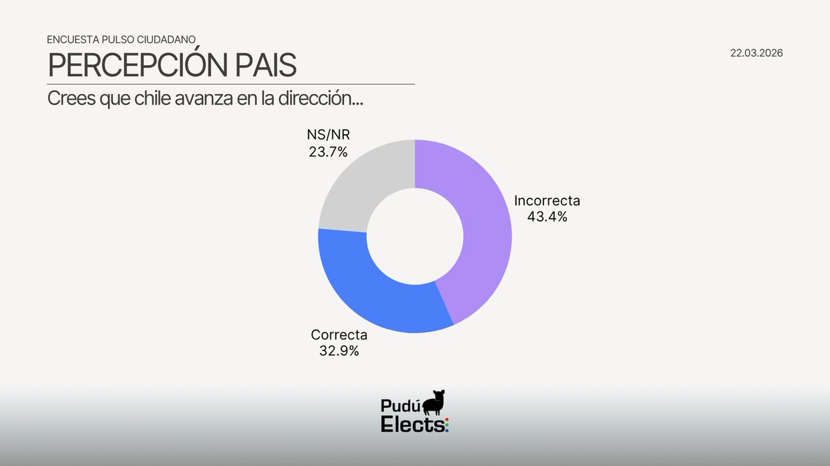 Pudú Elects tweet media