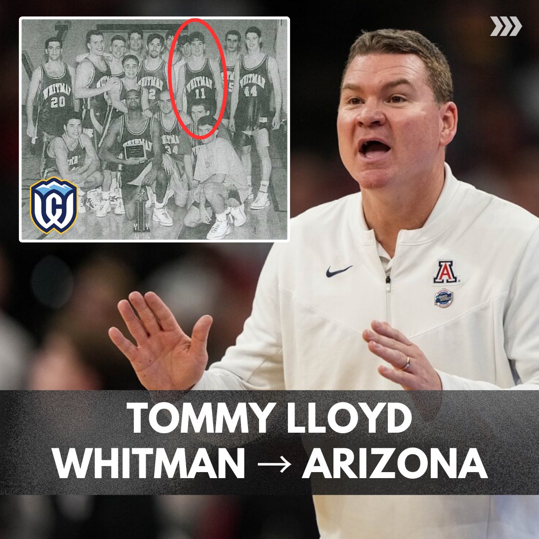 D3Direct tweet media