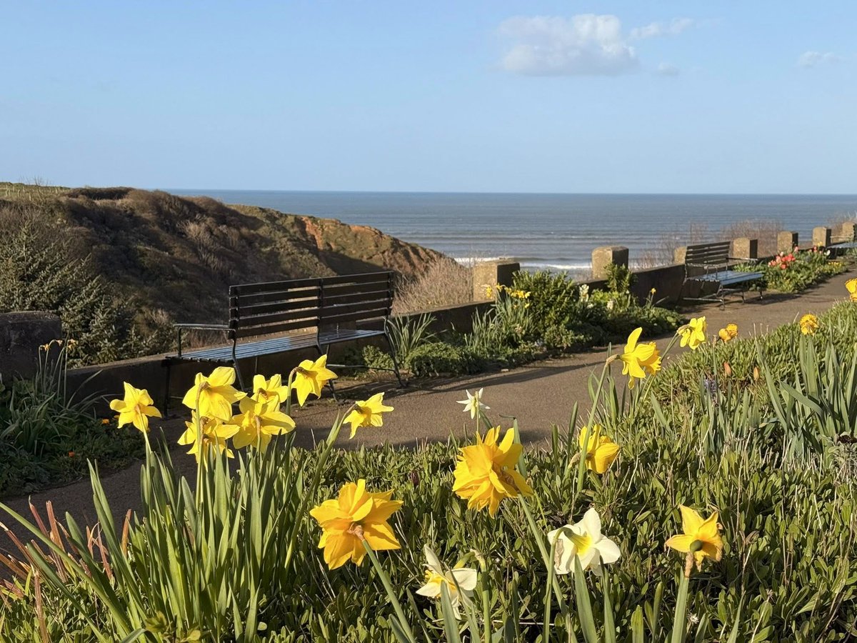 #vss365 #sprite

Flutters kissed
My skin today,
Petals bowed in golden chimes~
The ocean hummed
A silver sway,
While sprite like moments,
Slipped..through time,

#poetrycommunity 

Pic is my own