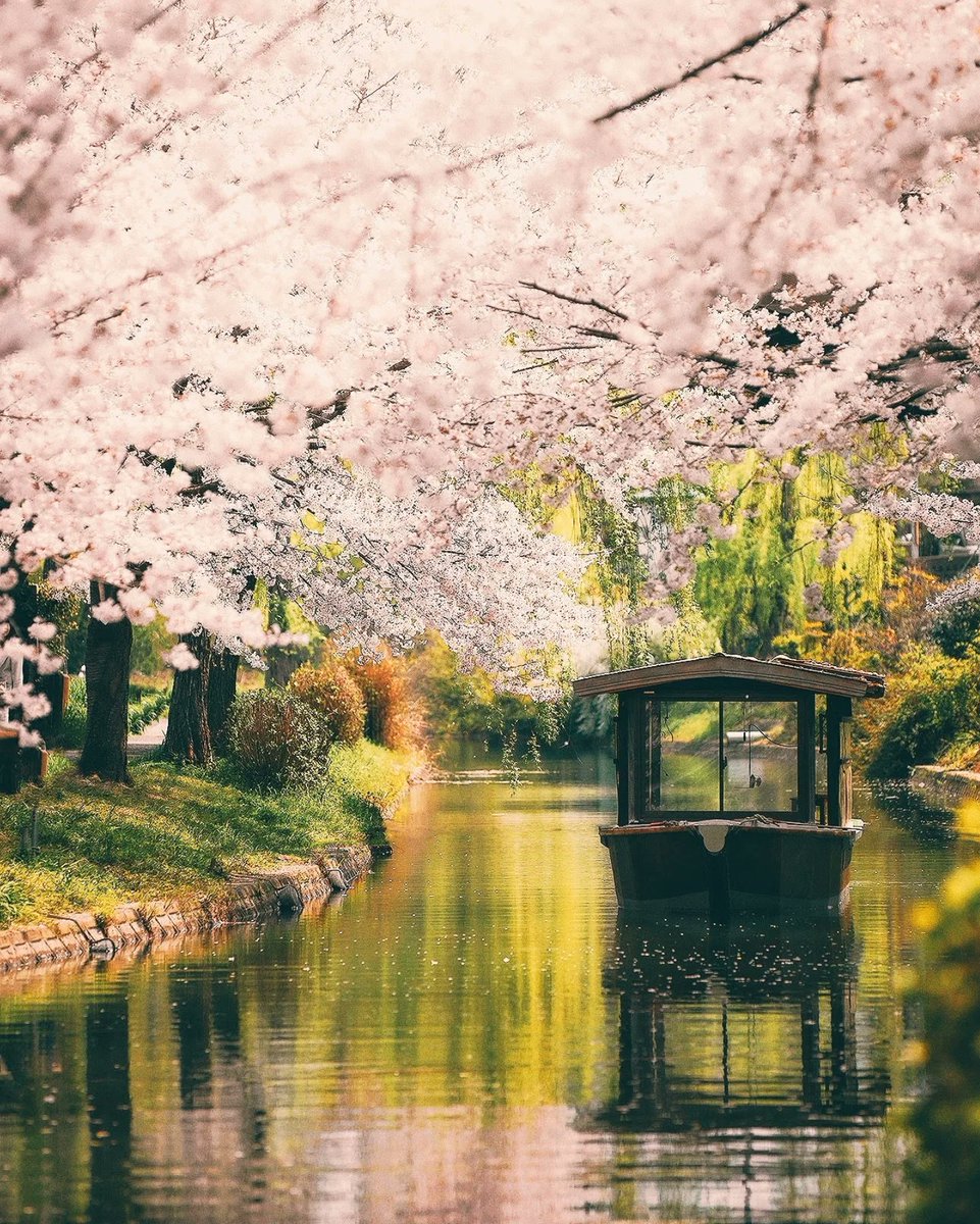harmonyexplore2's tweet image. Kyoto, Japan
