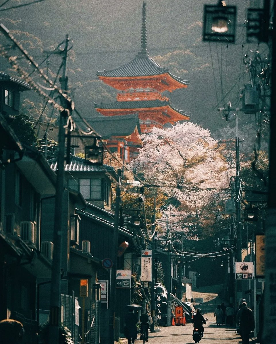 harmonyexplore2's tweet image. Kyoto, Japan
