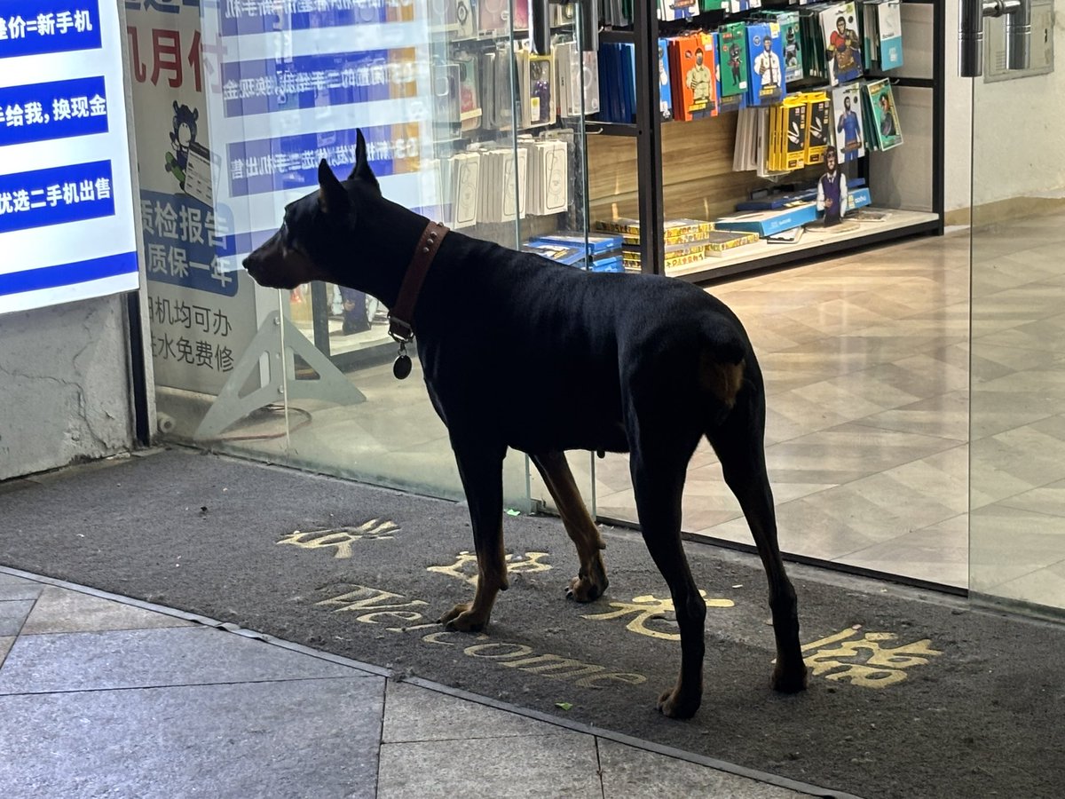 varasa久太구타 tweet media