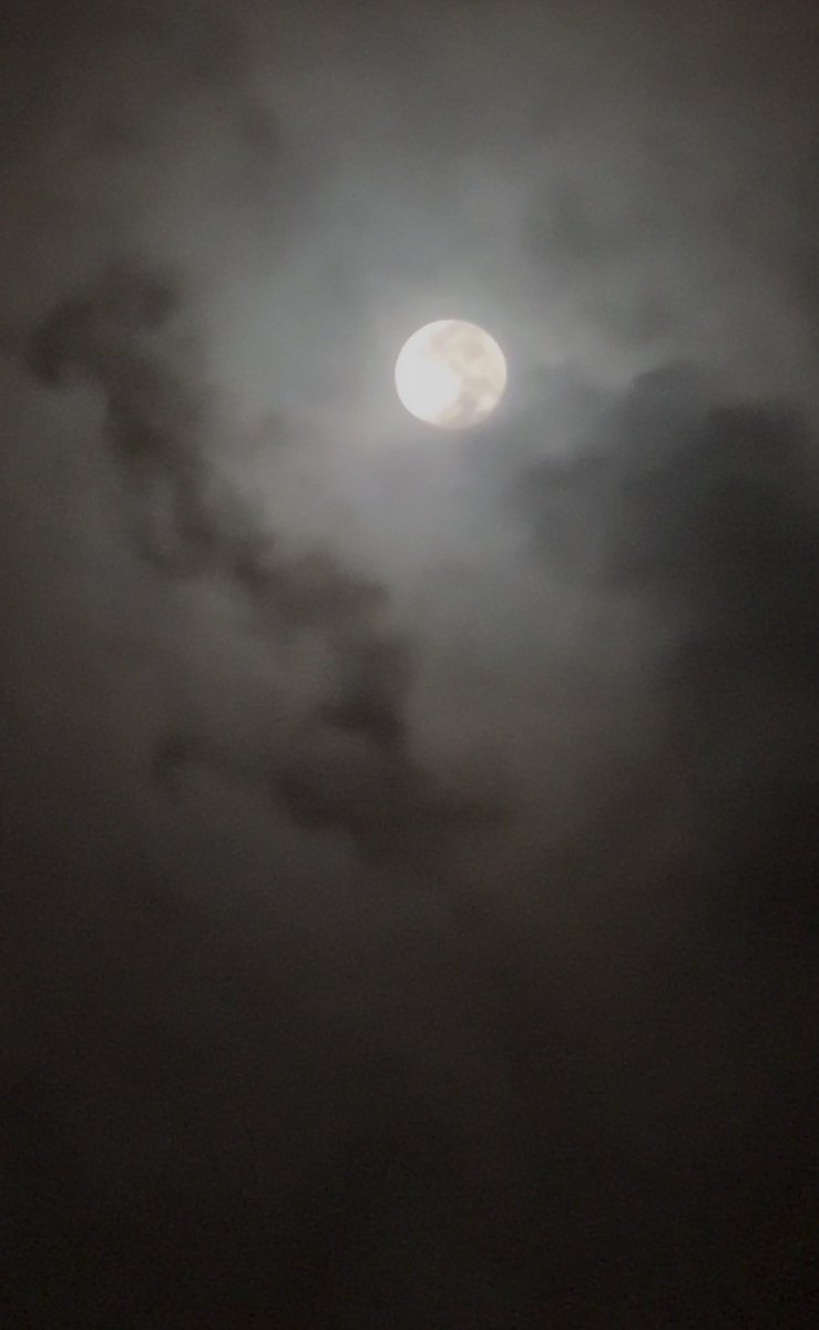 • (@solidmoh_) on Twitter photo 