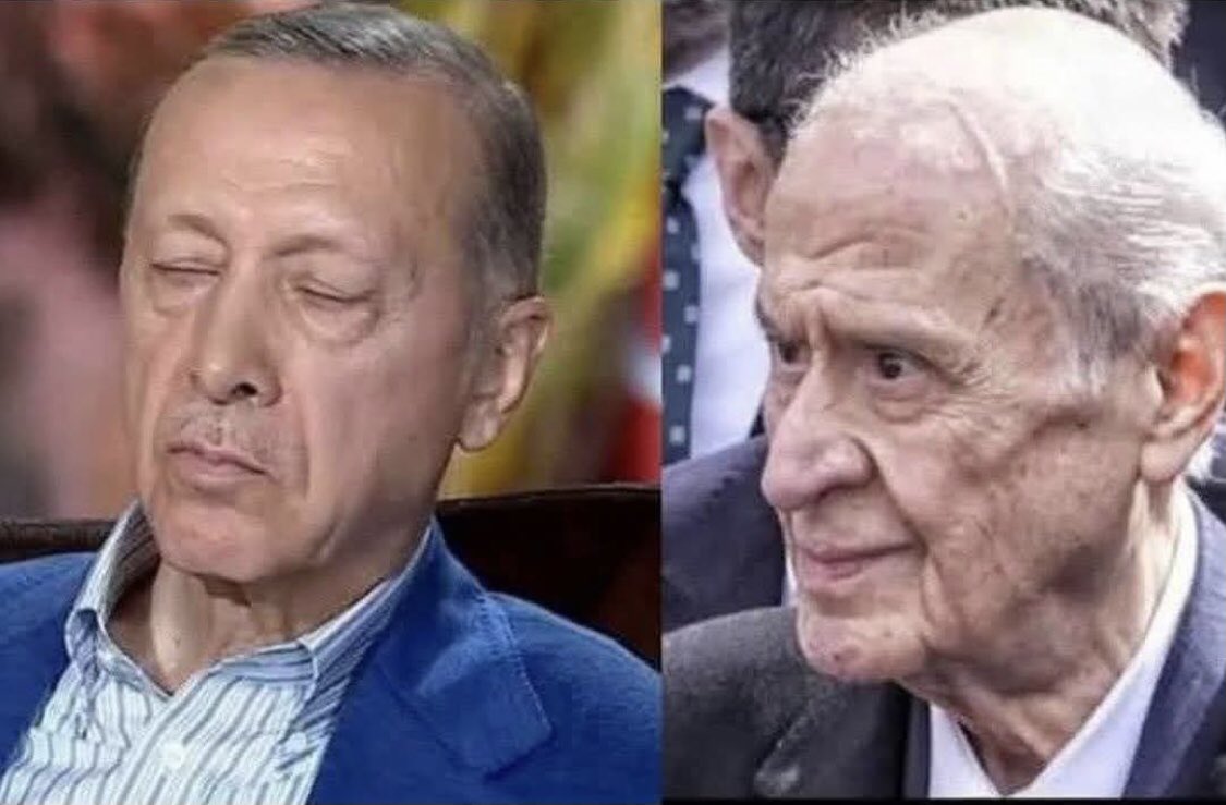 αуѕєℓѕ tweet media