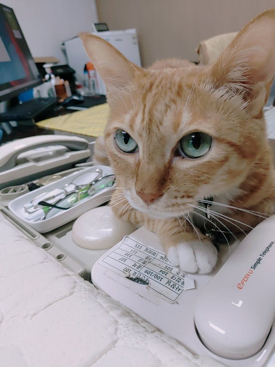 라르메 tweet media