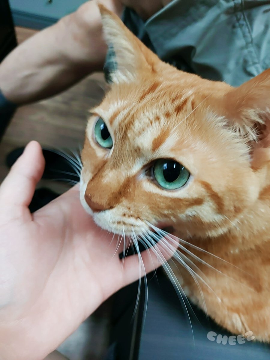 라르메 tweet media