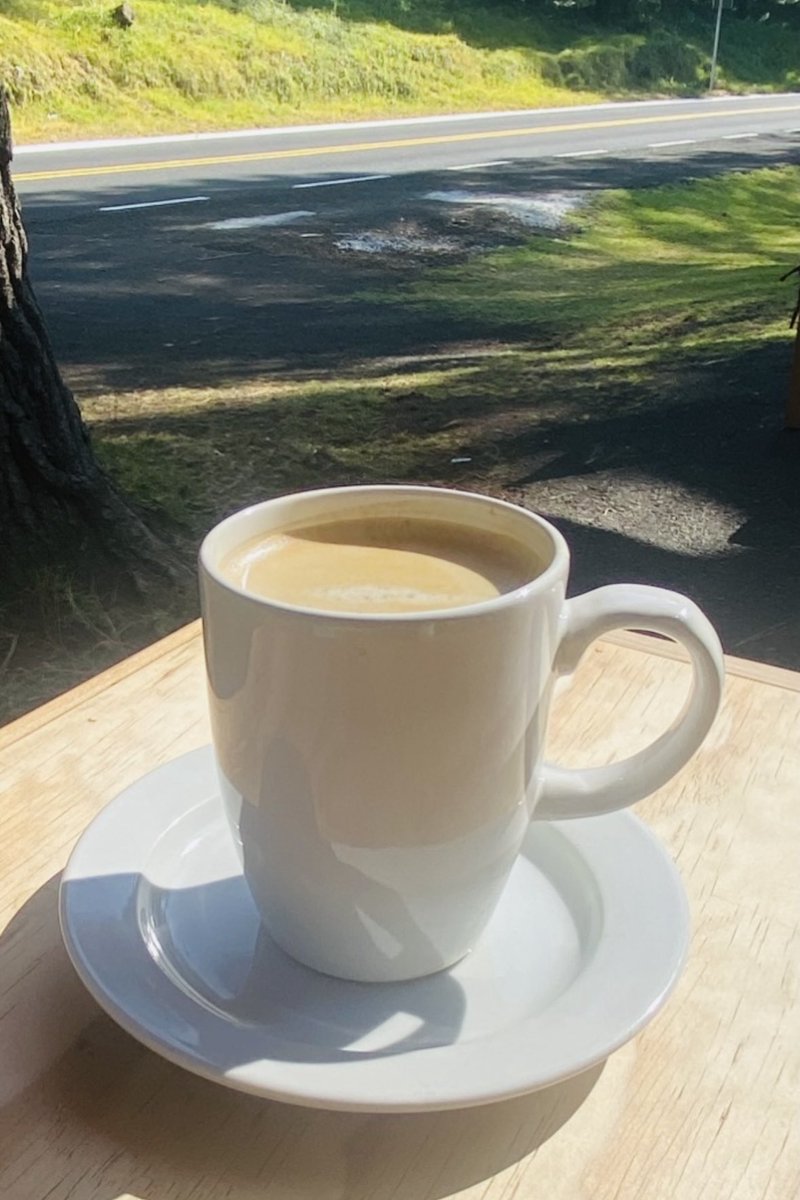 Ary_Fuentes tweet media