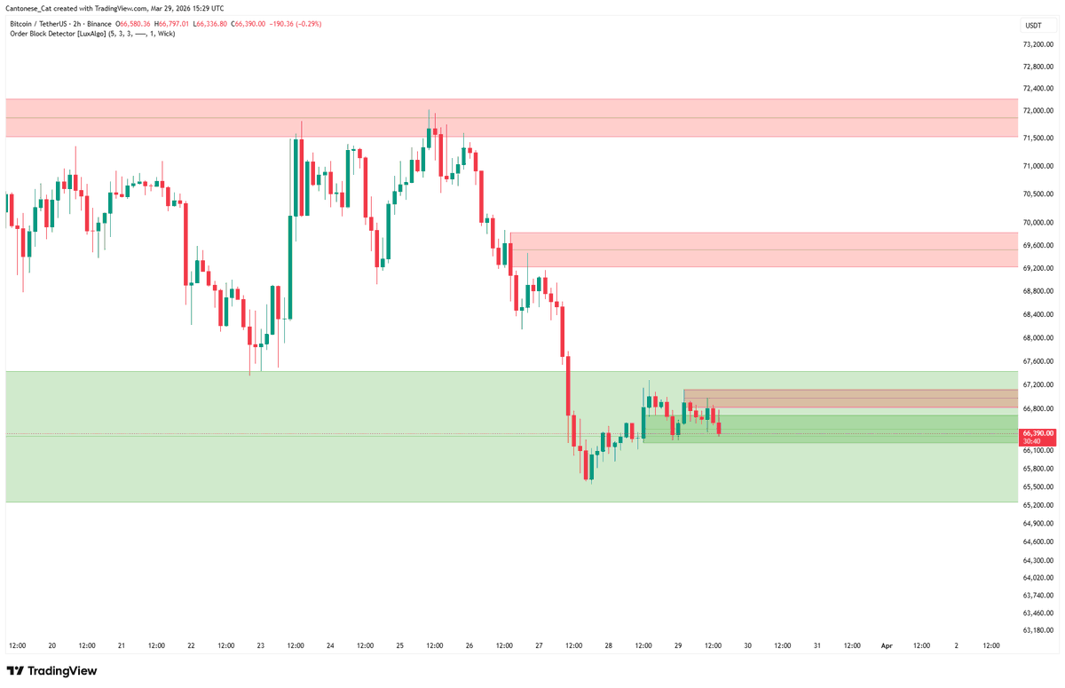 Cantonese Cat 🐱🐈 tweet media