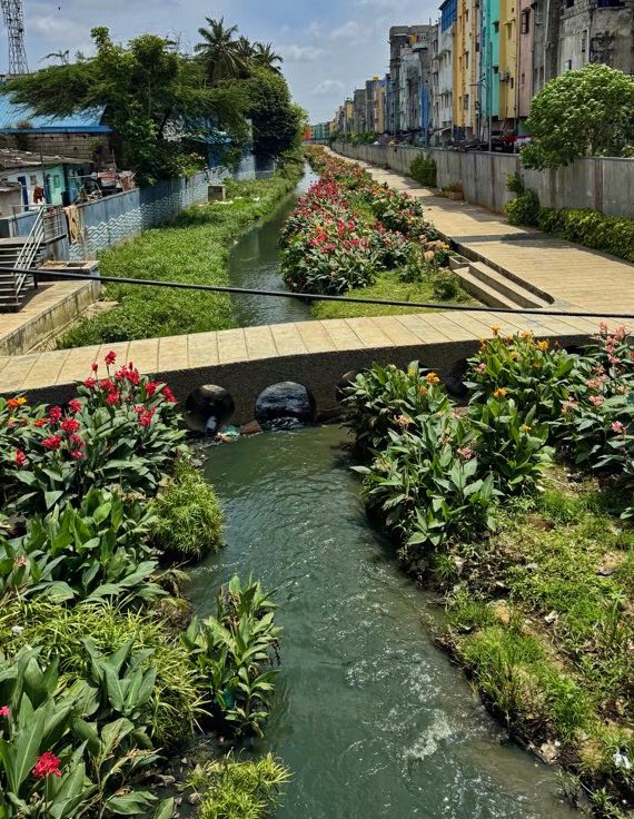 🚨Indian Gems tweet media