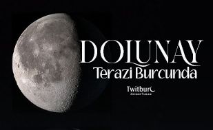 Zeynep Turan tweet media