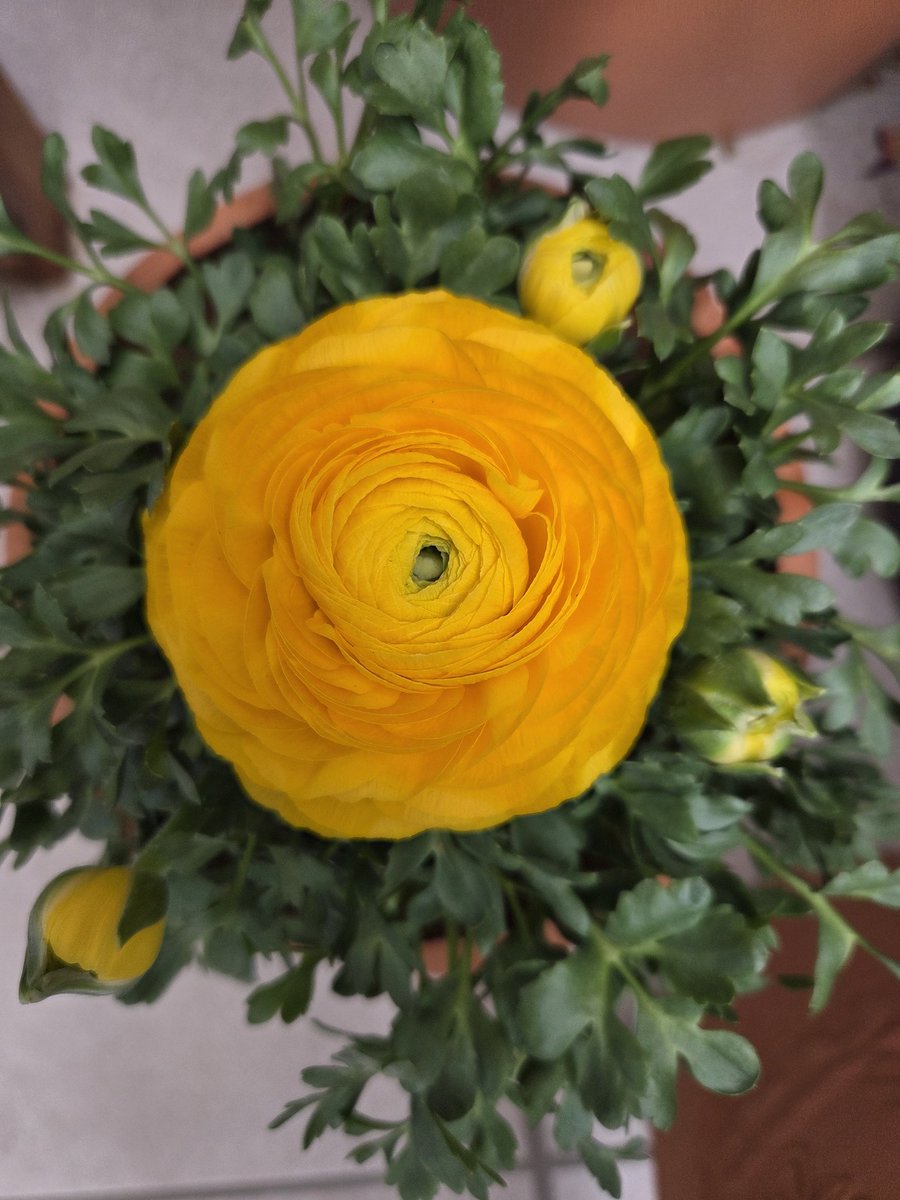 Rainer Herda  tweet media