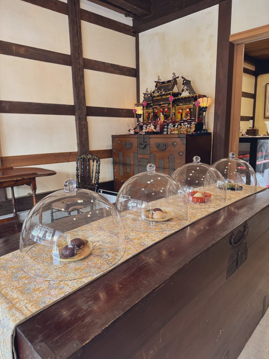 塩出 怜 tweet media