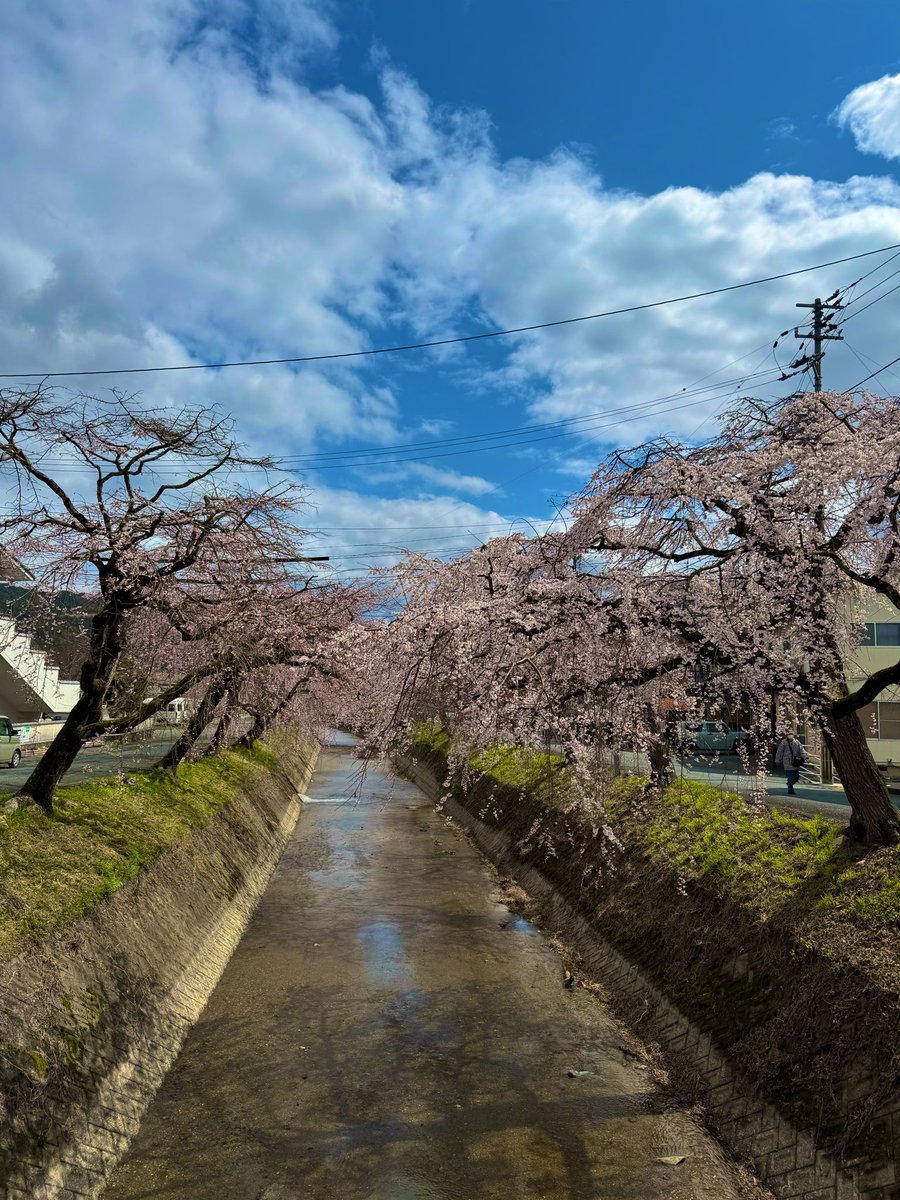 塩出 怜 tweet media