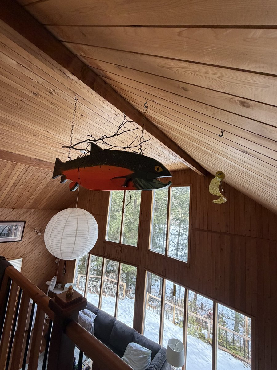 𝖛𝖊𝖓𝖚𝖘𝖎𝖓𝖙𝖆𝖚𝖗𝖚𝖘 tweet media