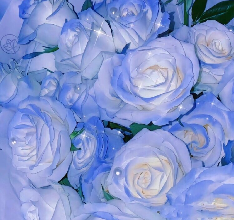 giusy nicolo tweet media