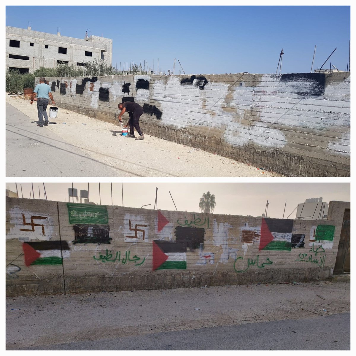 Amalia Ozer tweet media