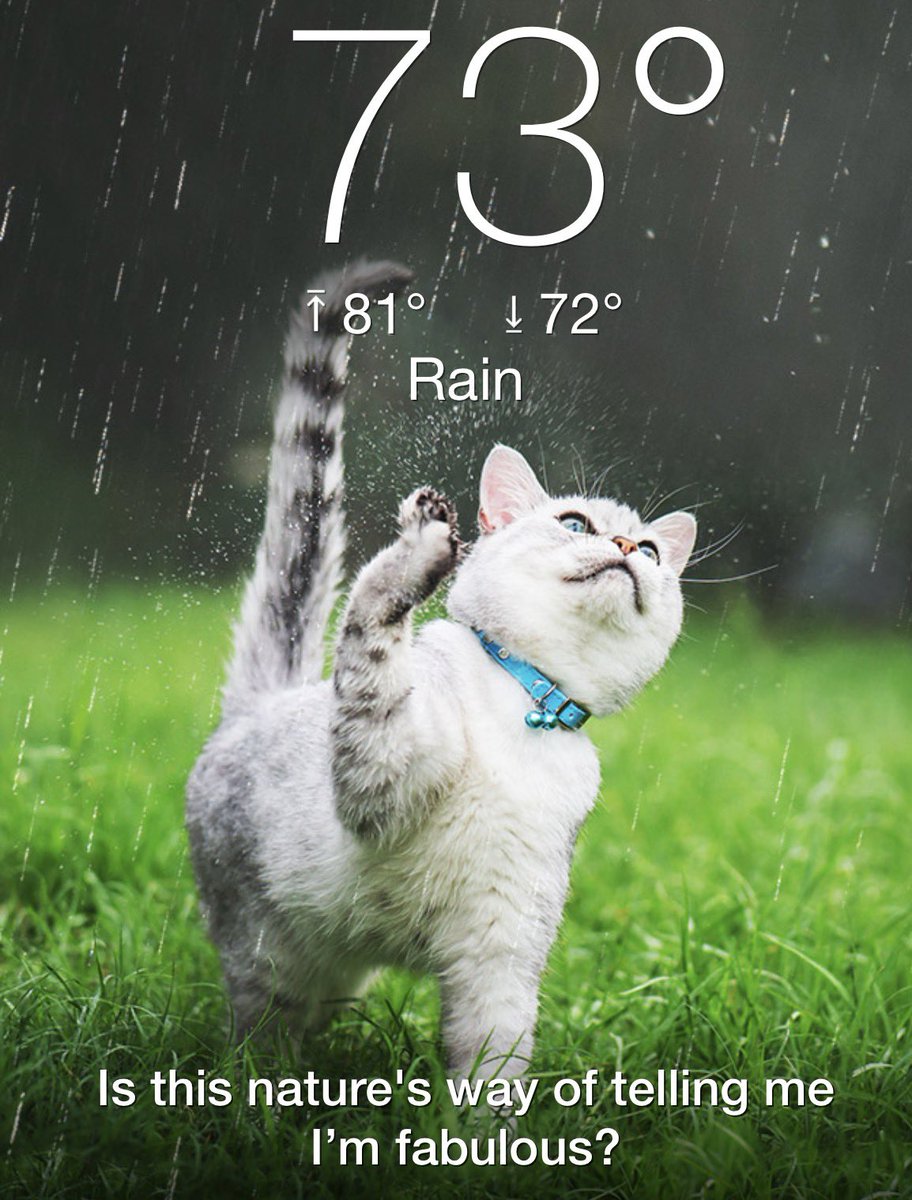 Juicy7meeow tweet media