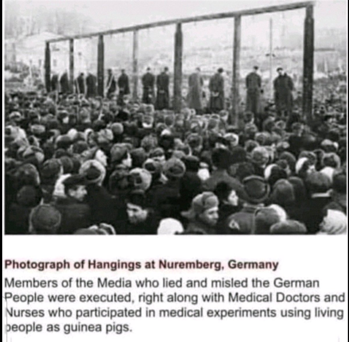 BeijingYankee tweet media