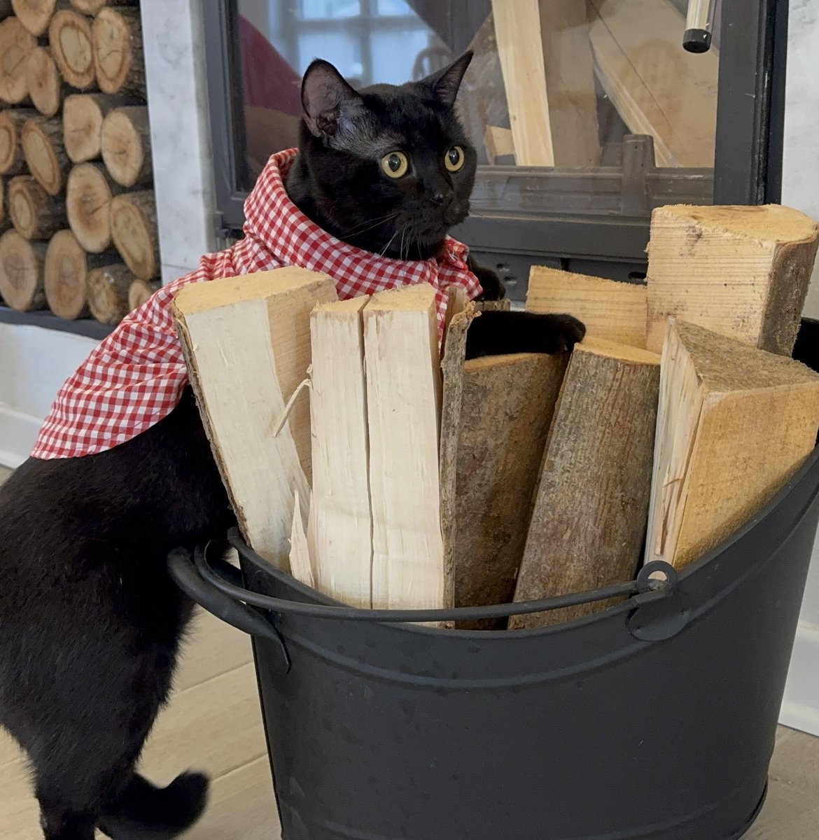 Ecevit Tatlıtuğ tweet media