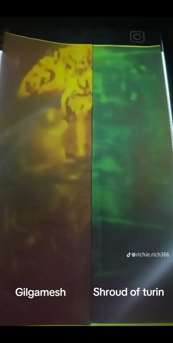 King Arthur Fan tweet media