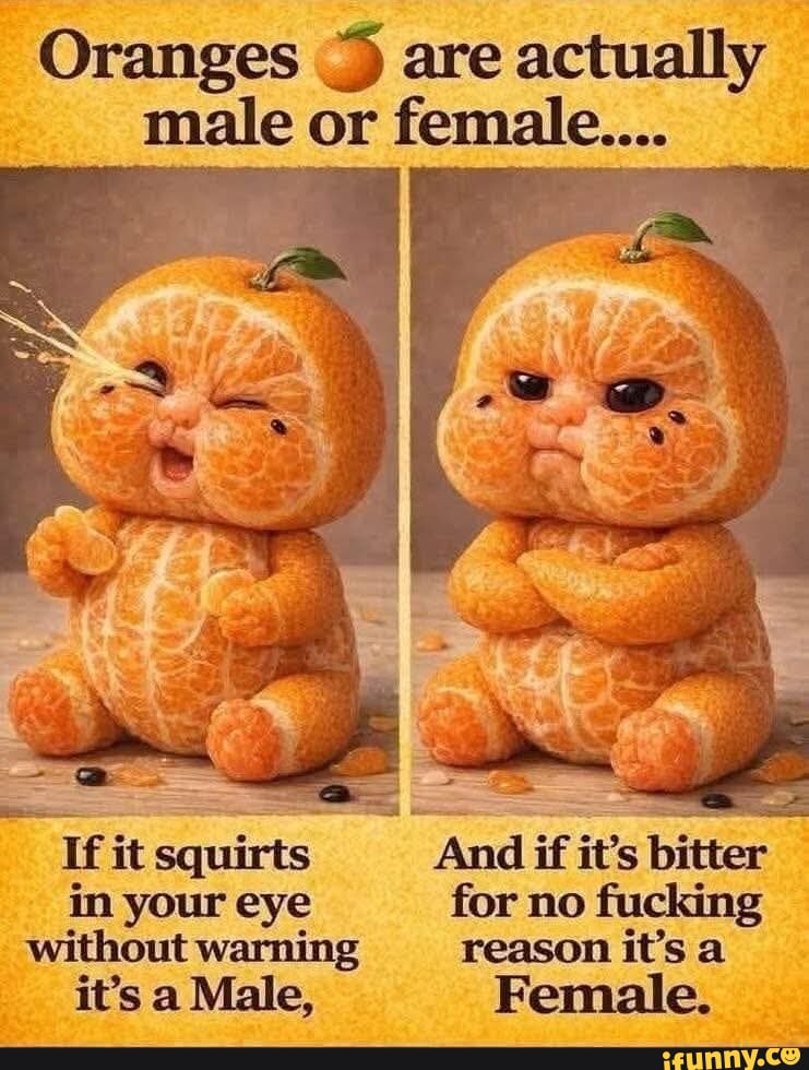 Baby Girl 🌹🕊🌹🌹🕊🌹 tweet media