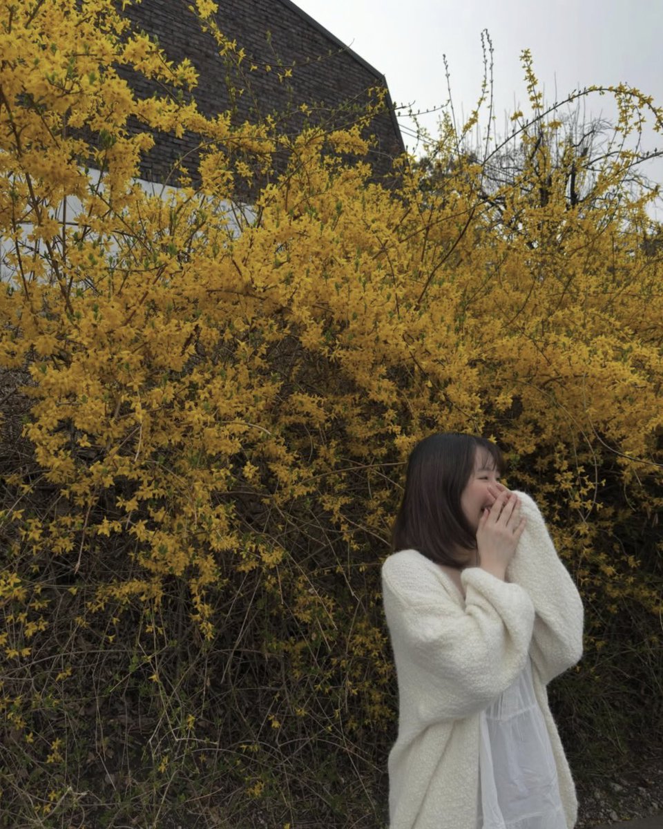 acervo everglow tweet media