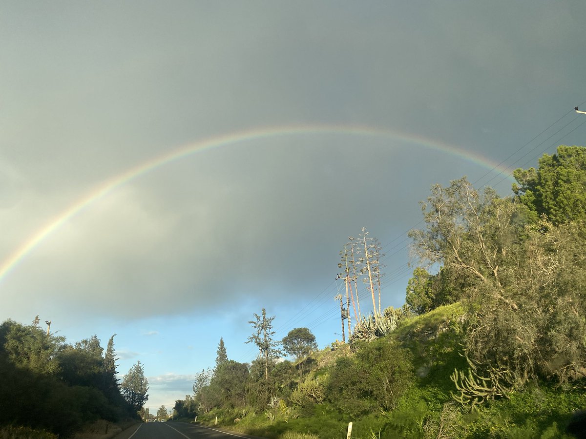 AAttalides's tweet image. RAINBOW 🌈 
#rainbow
