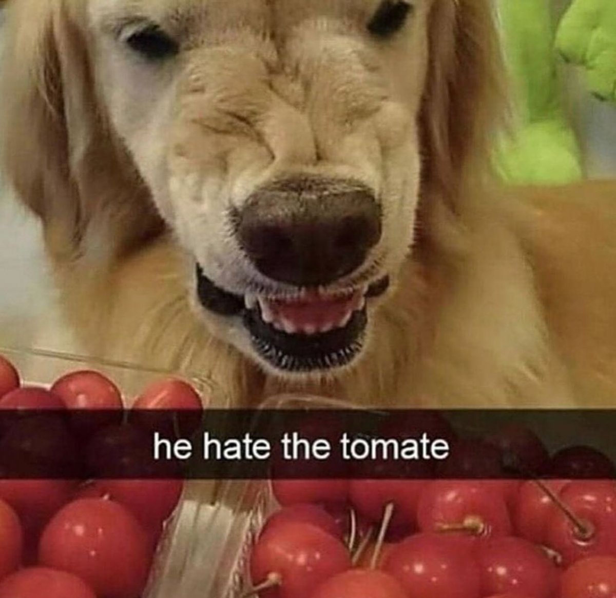 Goblin Moder tweet media