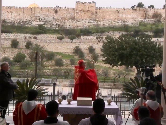 Adi el Grande tweet media