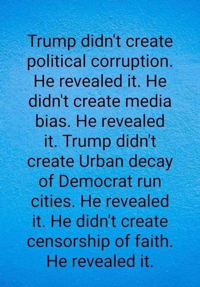 American Born tweet media