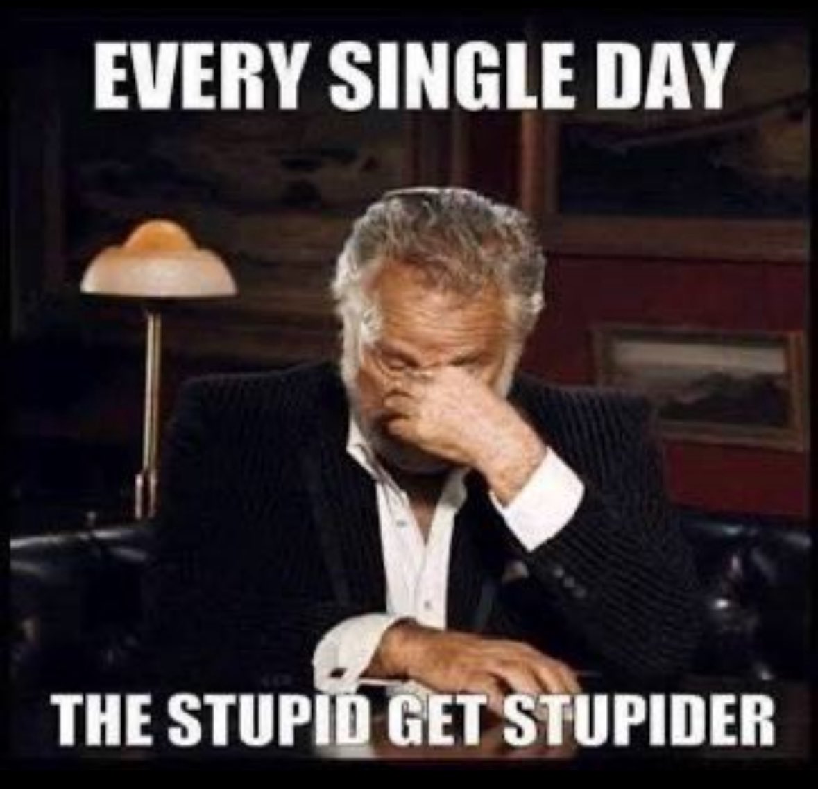 American Born tweet media