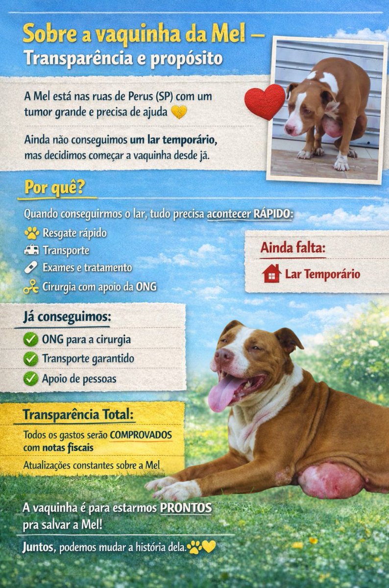 𝒏 𝒂 𝒍 𝒐 🐝 tweet media