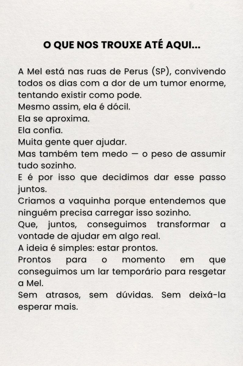 𝒏 𝒂 𝒍 𝒐 🐝 tweet media