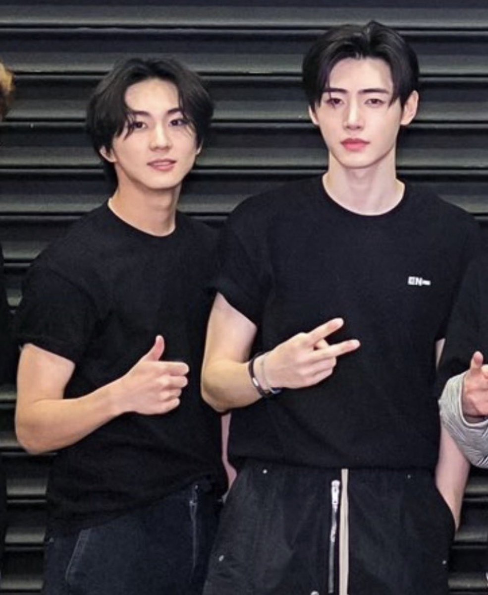 みみ🐨 tweet media