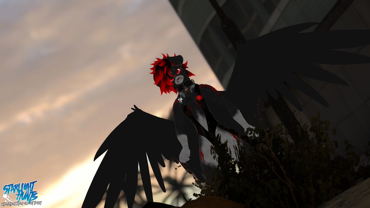 Starlight Hunts tweet media