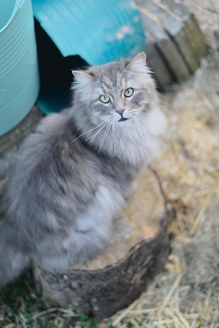 Christian Rockmore tweet media