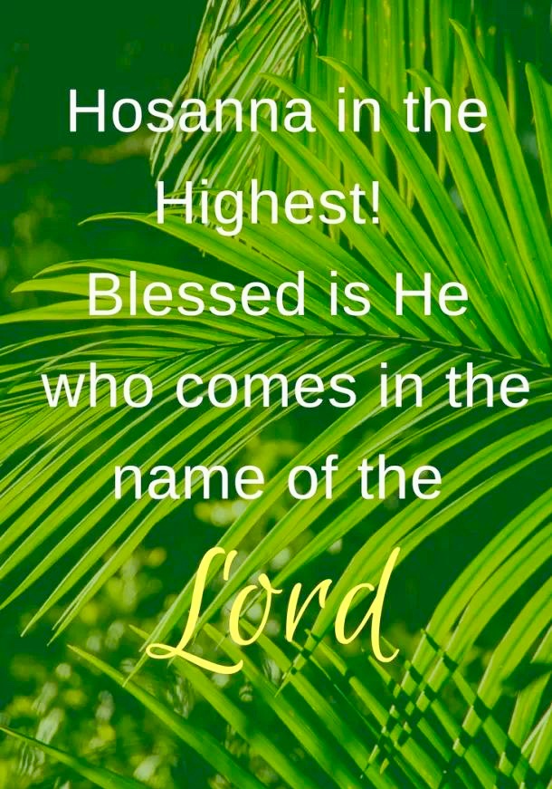 FlatEarthFlyer tweet media