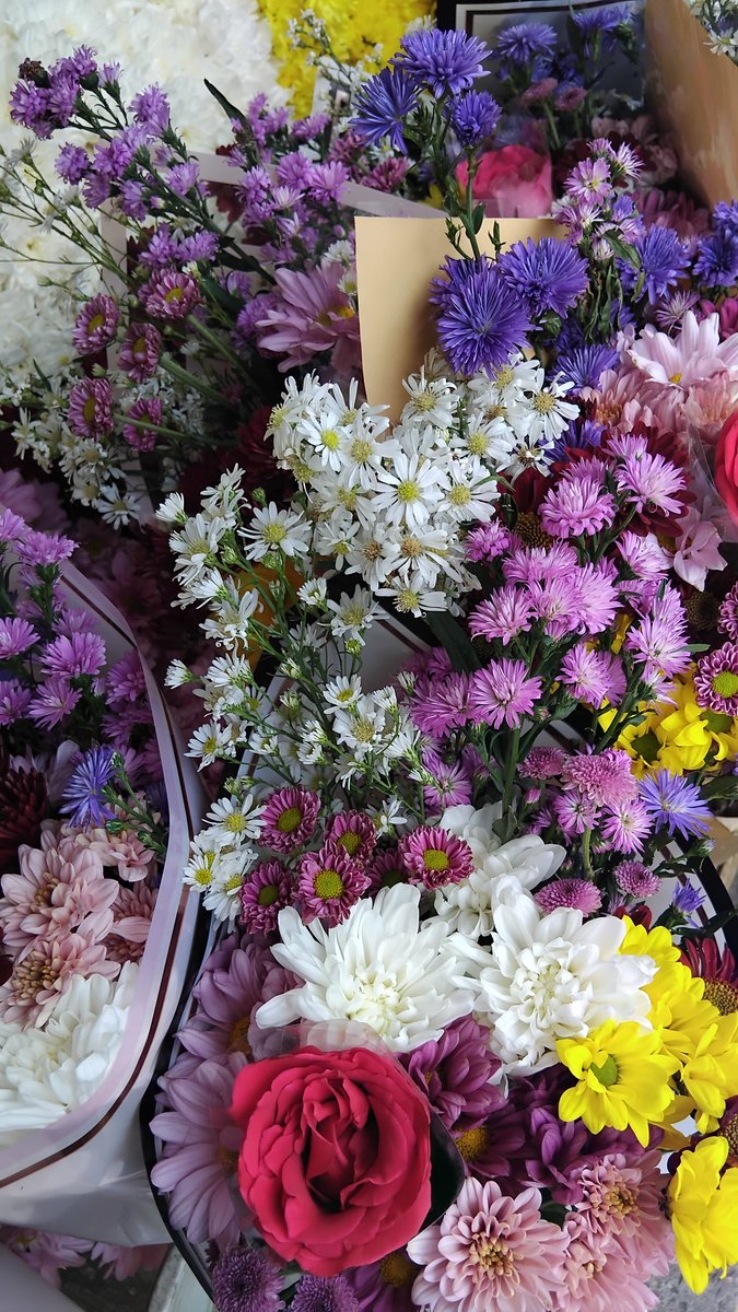 ★ kamalia. tweet media