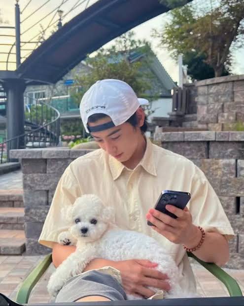 Laura 💜 🇲🇽 | tweet media