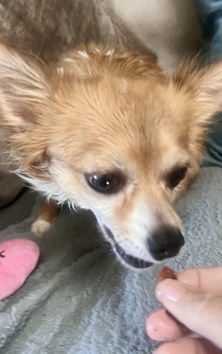 Susan Burke📸💜 tweet media