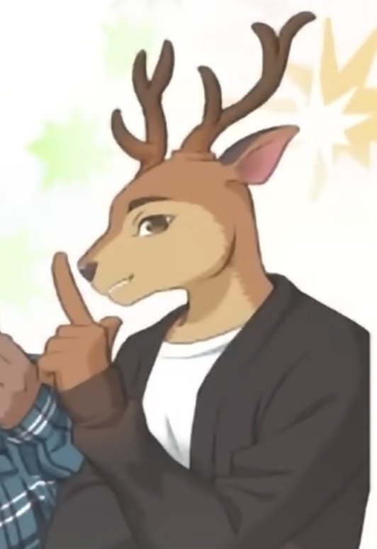 양양이 tweet media