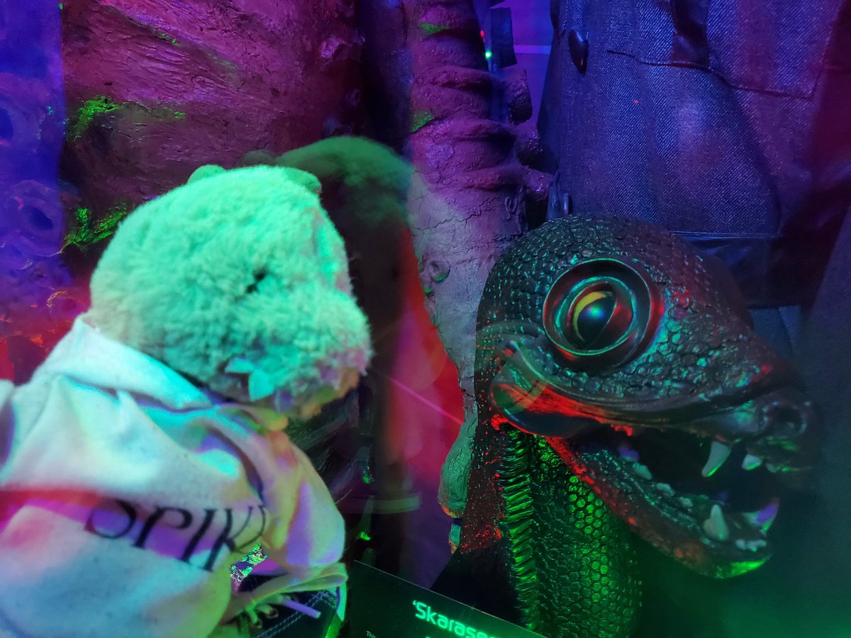 Dino the wee green dude tweet media