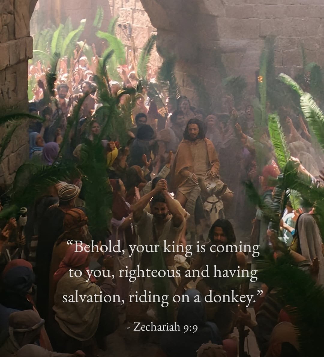 Angélina Ⓜ️ tweet media