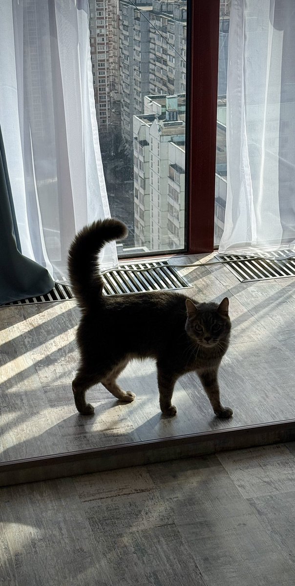 Туча! tweet media