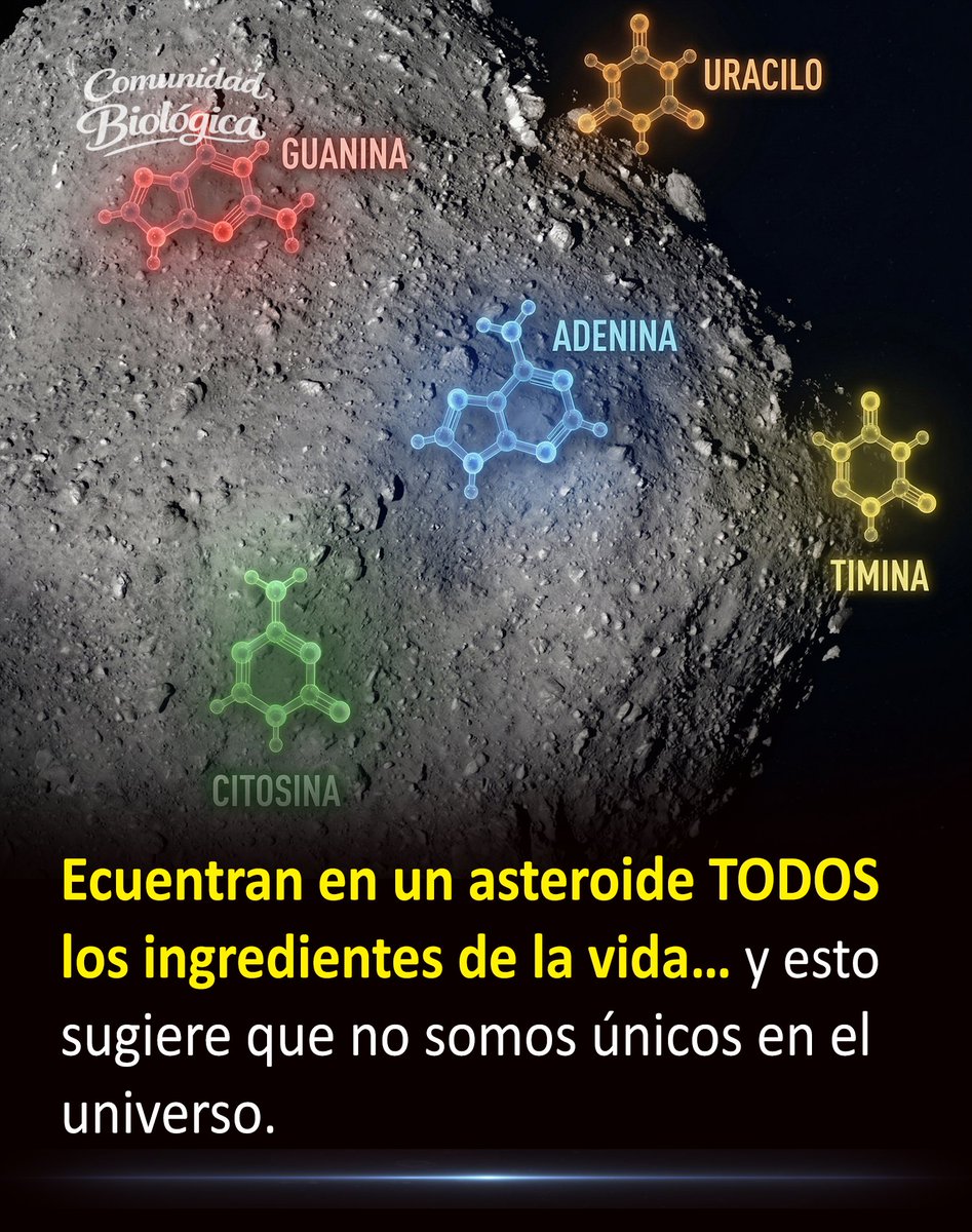 Comunidad Biológica tweet media