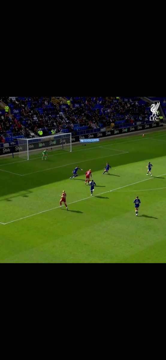 Alexander MacDonald tweet media