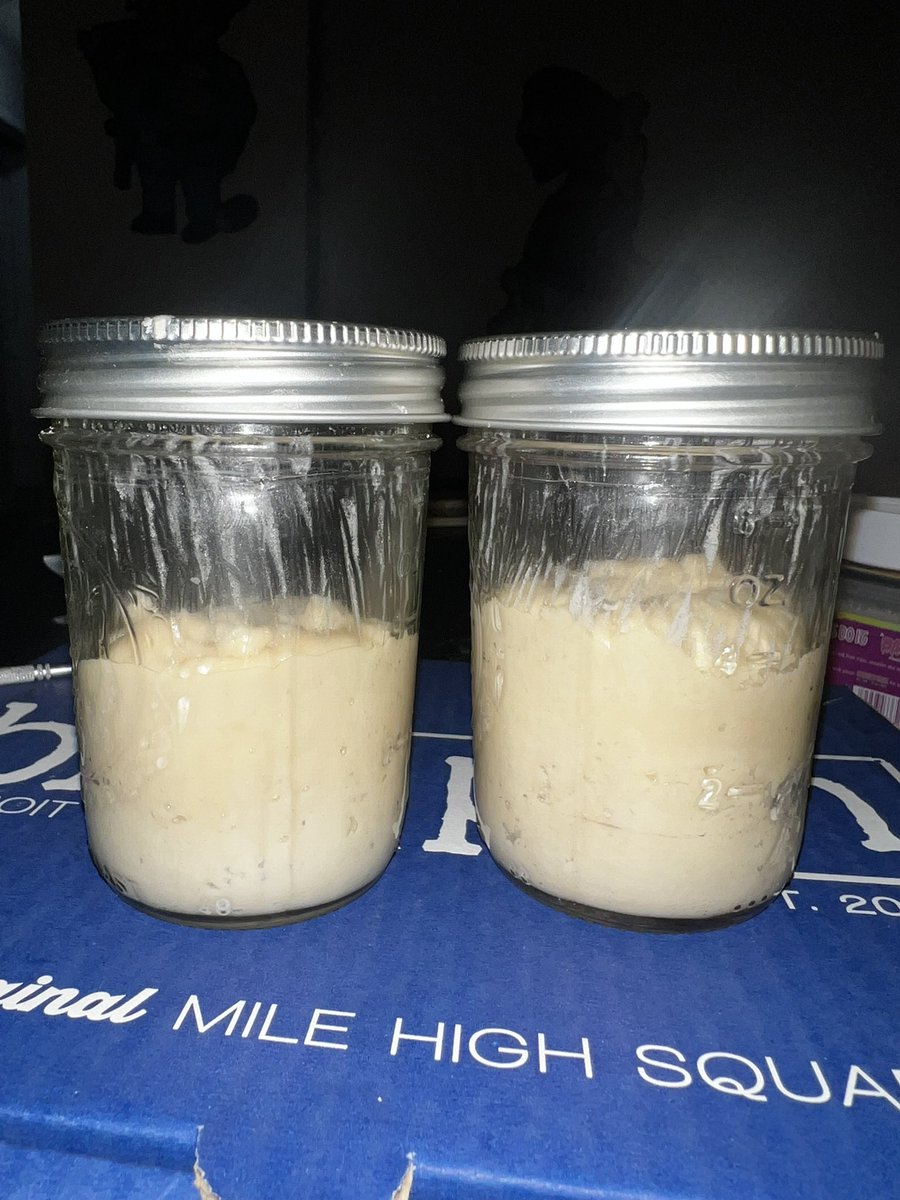 Dashy Gilmore tweet media