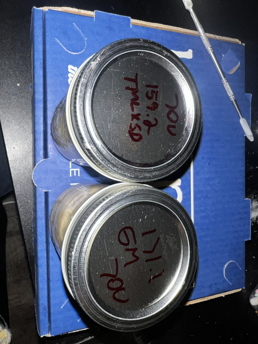 Dashy Gilmore tweet media